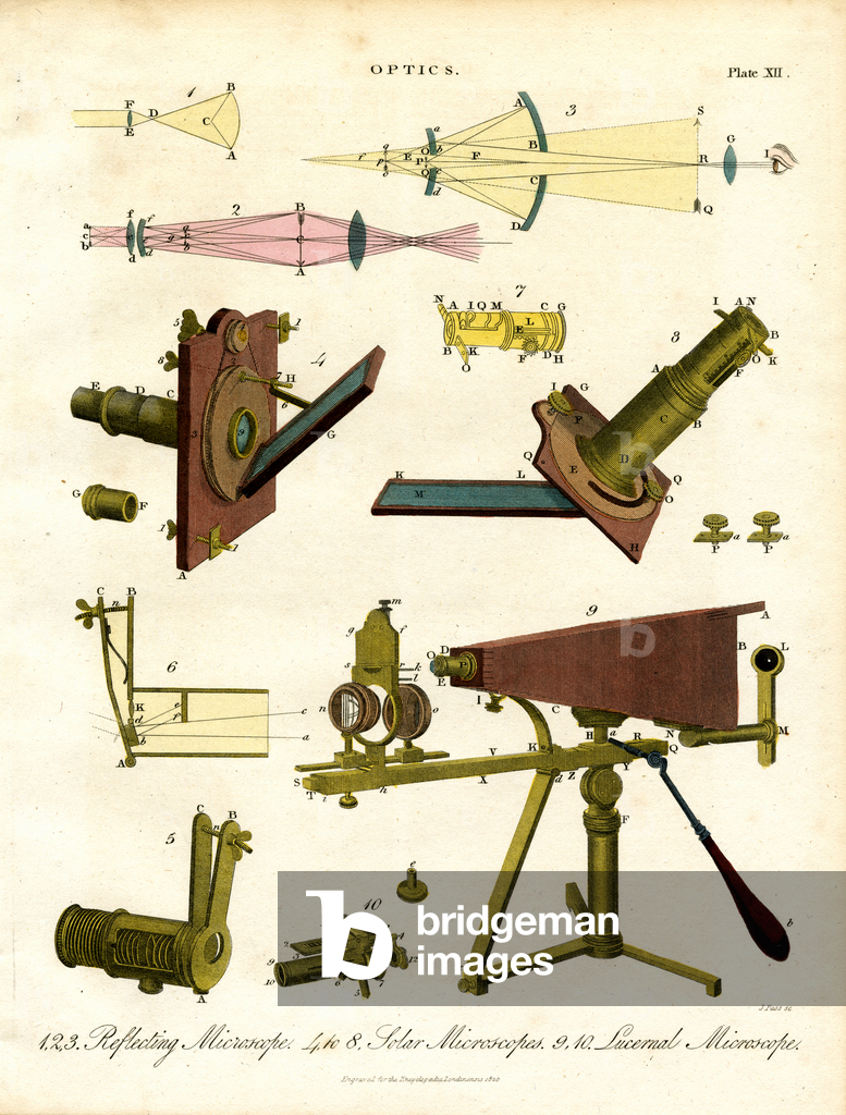 Microscopi specializzati e principi ottici, 1810 (stampa)