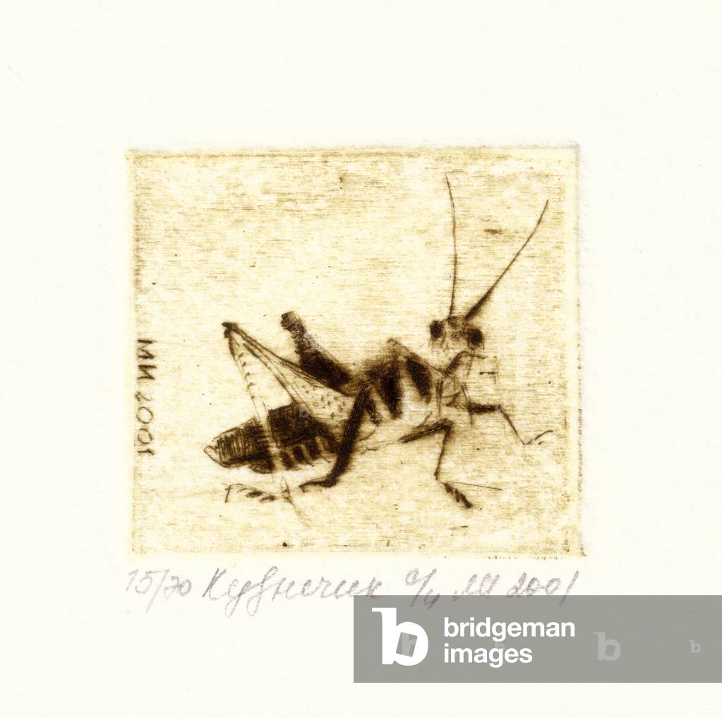 Grasshopper, 2001 (punto a secco)