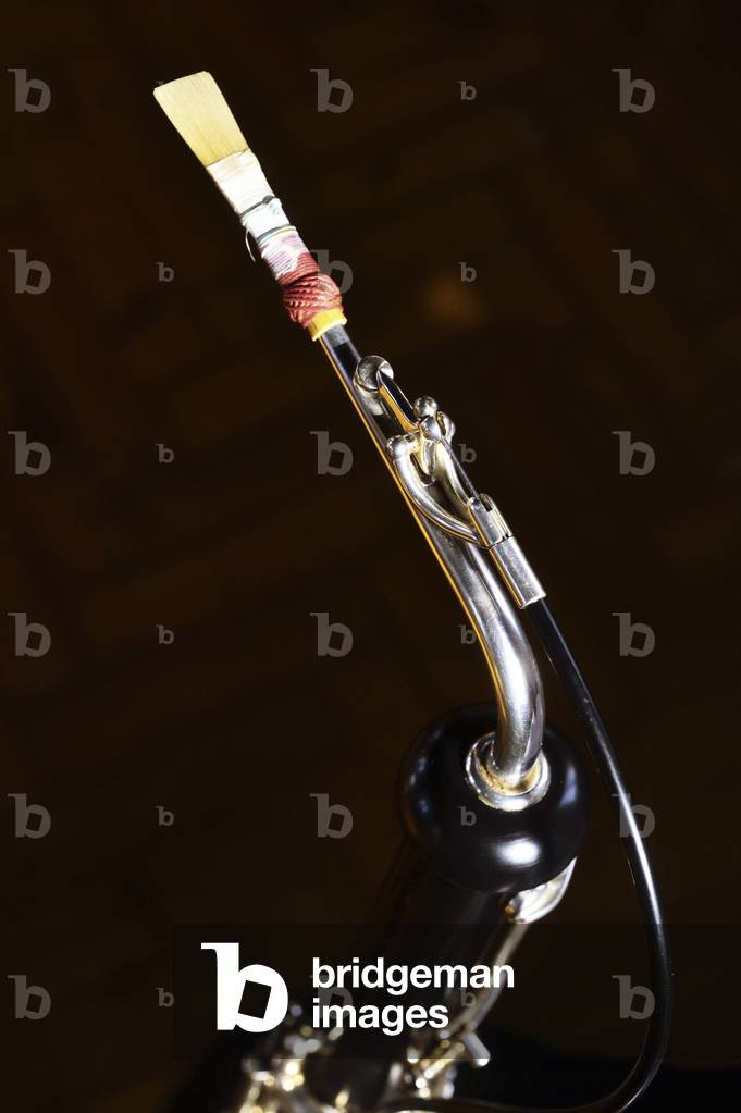 Lupophon, canna, ladro