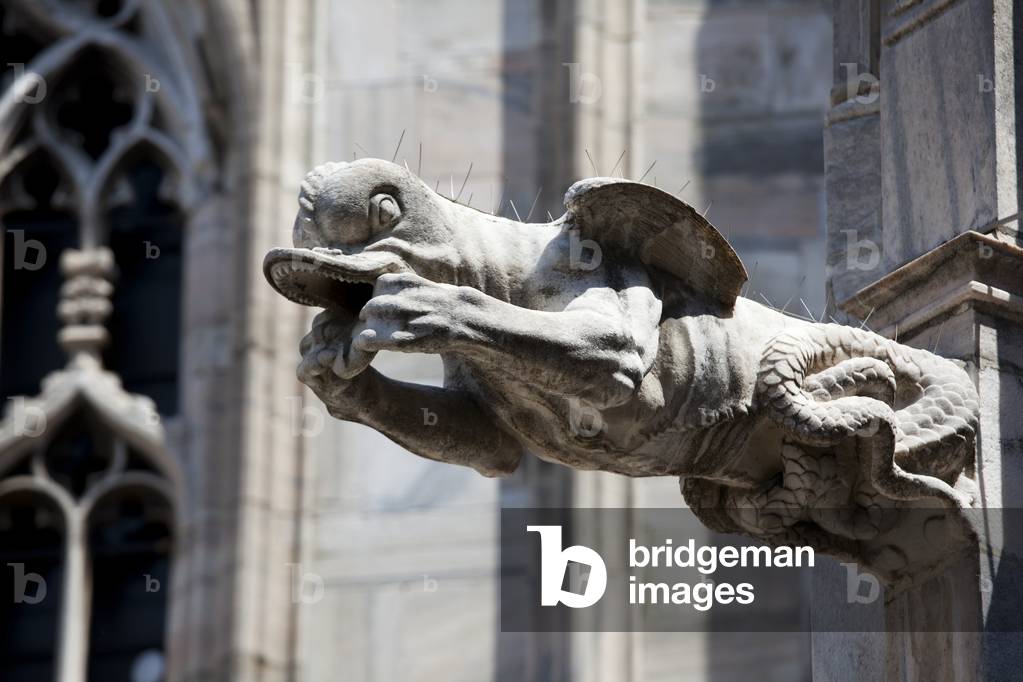 Immagine di Fotografia "Gargoyle", 2010