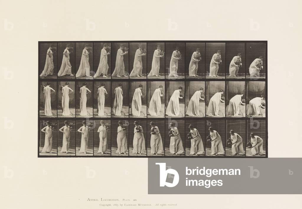 Bild von Fotografie "Teller 205. Tragen und Bütten mit Vase" 1885 von Eadweard Muybridge, b/w