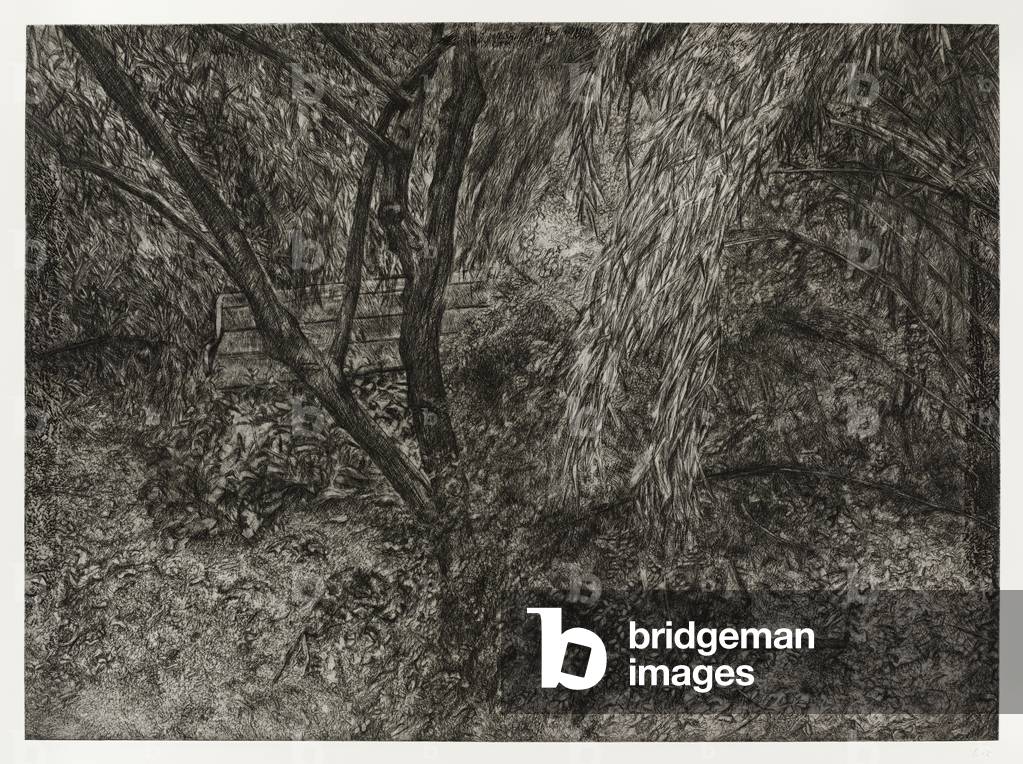 Painter's Garden, 2003-04 (etching)