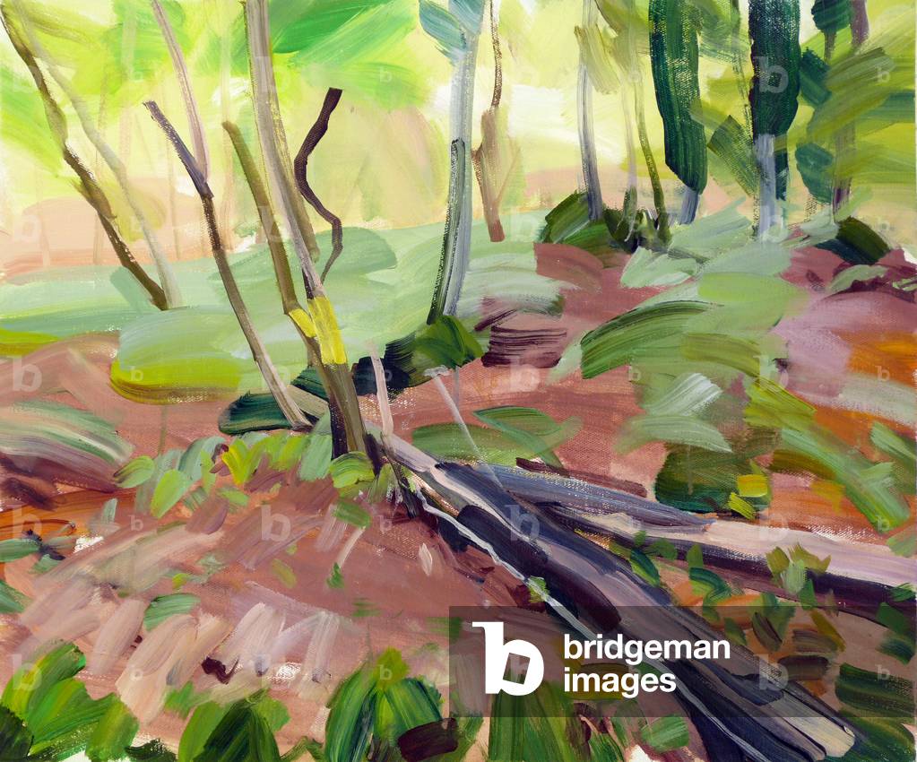 Forêt 24, 2017 (acrilico su tela)