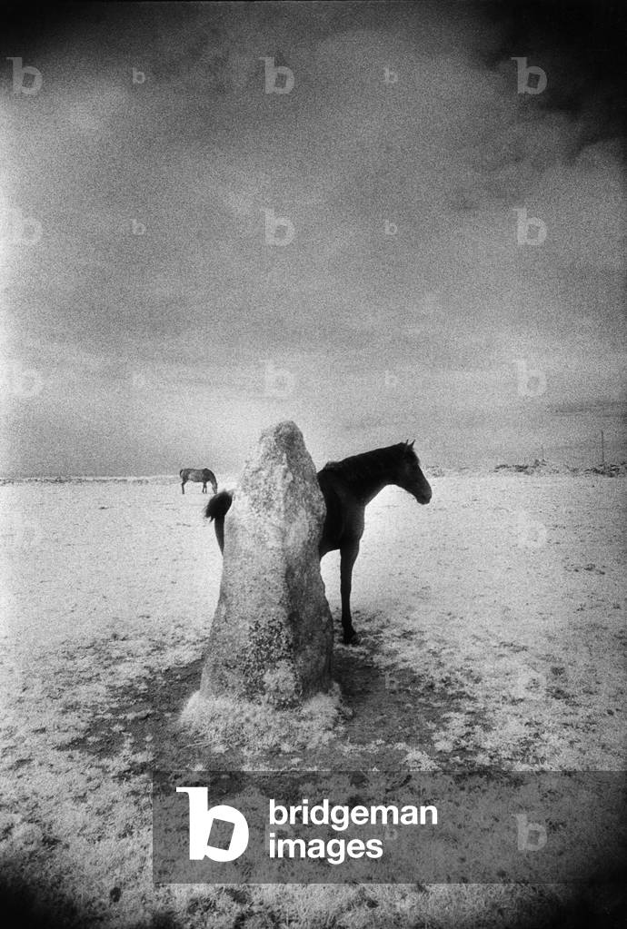 Immagine di Fotografia "Pietra eretta" di Simon Marsden, b/w