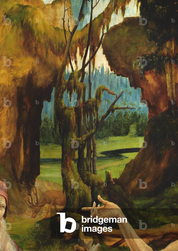 Der Besuch des Heiligen Antonius bei St. Paul dem Einsiedler. Detail der Hand des hl. Paulus aus dem Isenheime