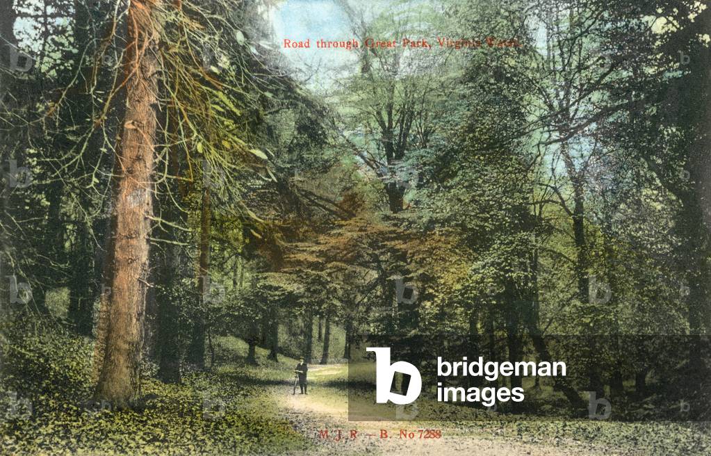 Image de Photographie représentant Windsor Great Park par English Photographer