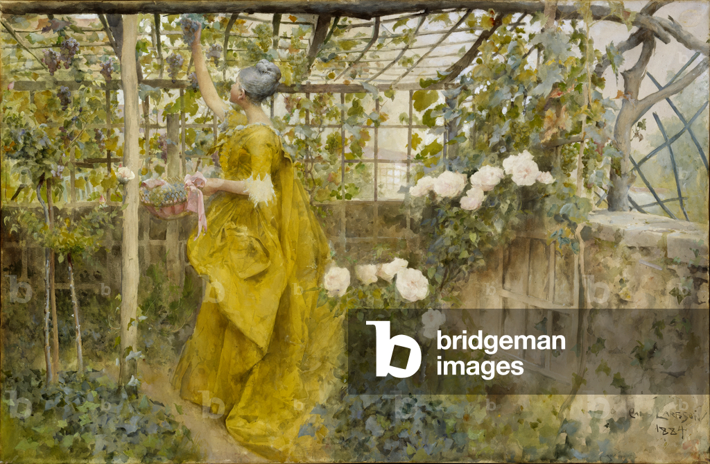 La Vite, 1884 (senza carta)