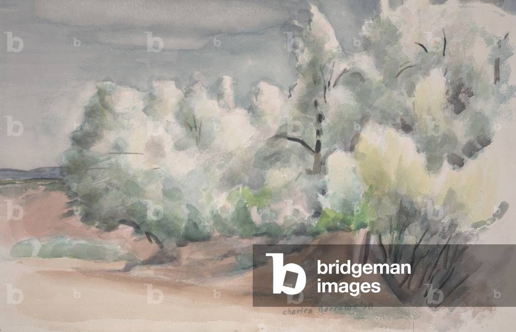 Immagine di Disegno "Apple Blossoms", 1938 di Charles Barrows