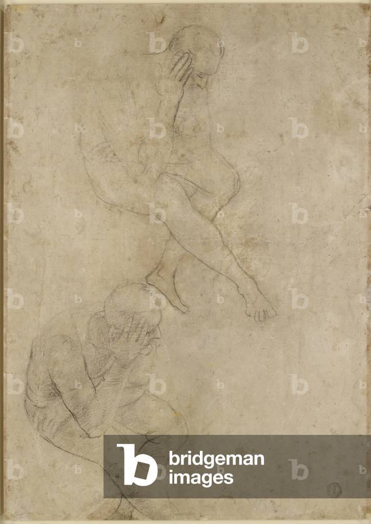 "Verso: Due studi di un uomo anziano" 1519 di Raphael, b/w