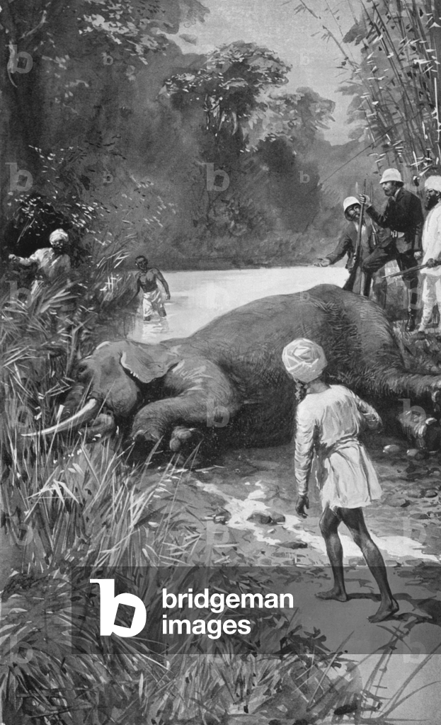 Der tote Elefant (Litho)