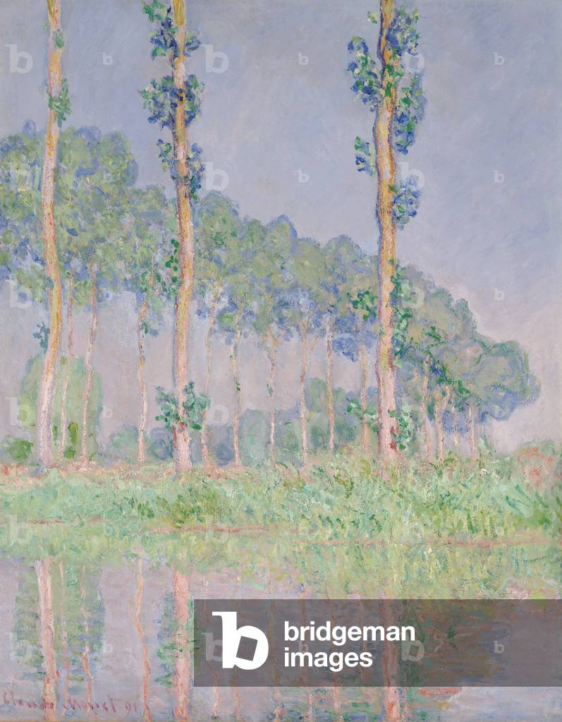 Pioppi, effetto rosa, 1891 (olio su tela)
