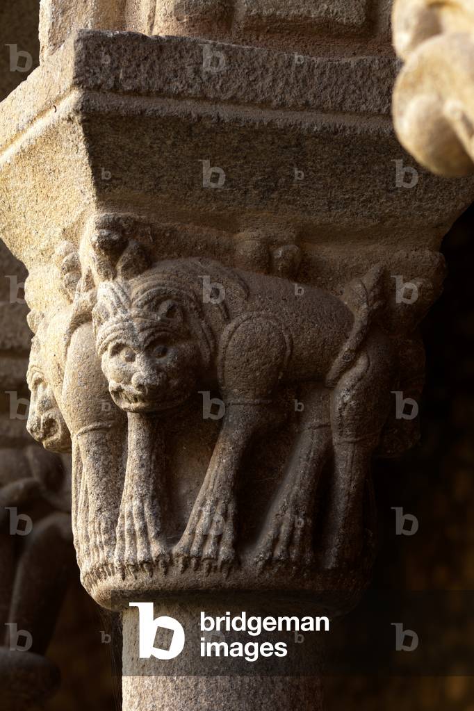 Immagine di Fotografia "Cattedrale. Il chiostro. Una capitale. Romanico. XII secolo."