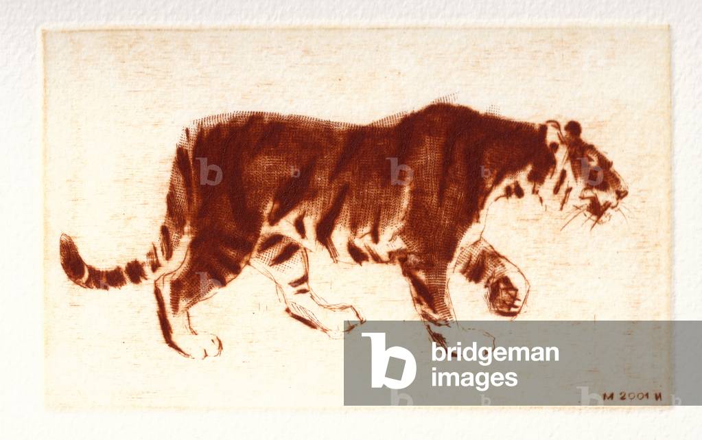 Immagine di Incisione "Tigre siberiana", 2001 di Irina Makoveeva