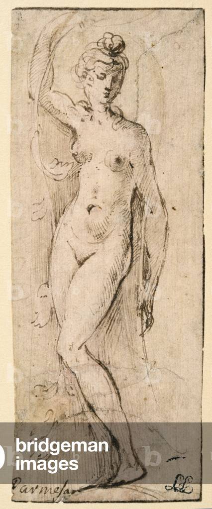 Figura femminile - studio per Santa Maria della Steccata, Parma (recto), 1531-1539 (penna e inchiostro bruno e