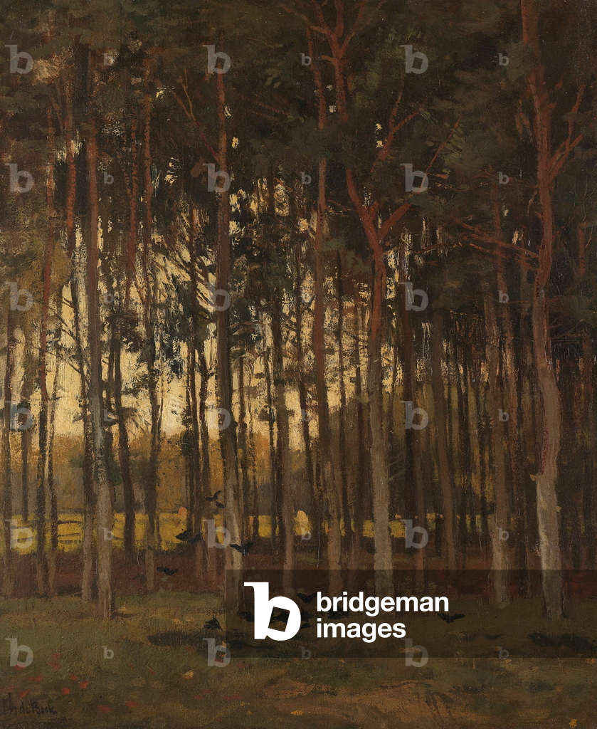 Vista nel bosco, 1870 (olio su tela)