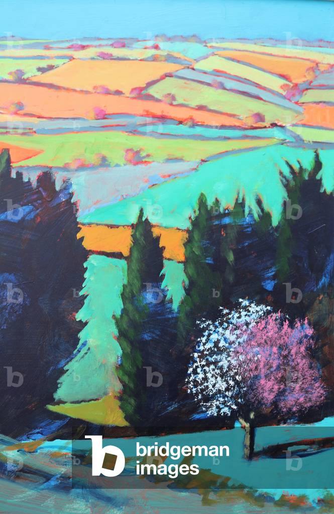 Immagine di Dipinto "Teme Valley fiore close up (acrilico su tavola)" di Paul Powis