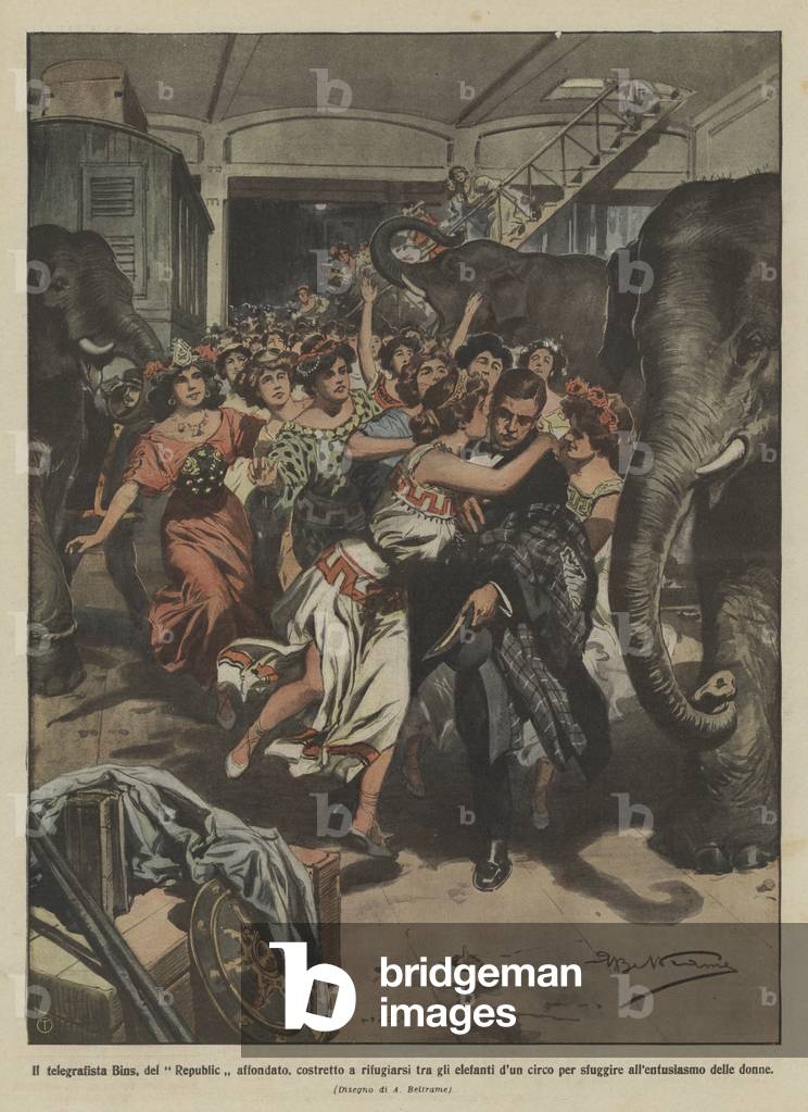 Der Telegraf Bins aus der versunkenen Republik musste unter den Elefanten eines Zirkus Zuflucht suchen  (Farb