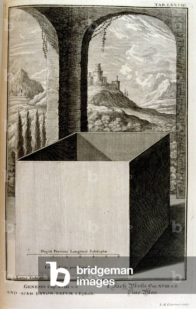 Image of Engraving depicting Biblical measurements in Cubits 1732 by Johann Jakob Scheuchzer
