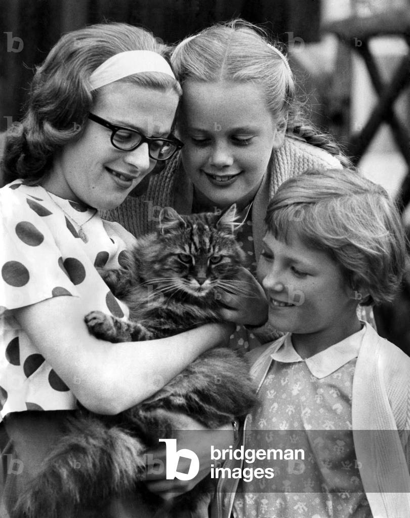 image-of-when-it-came-to-choosing-a-name-for-the-cat