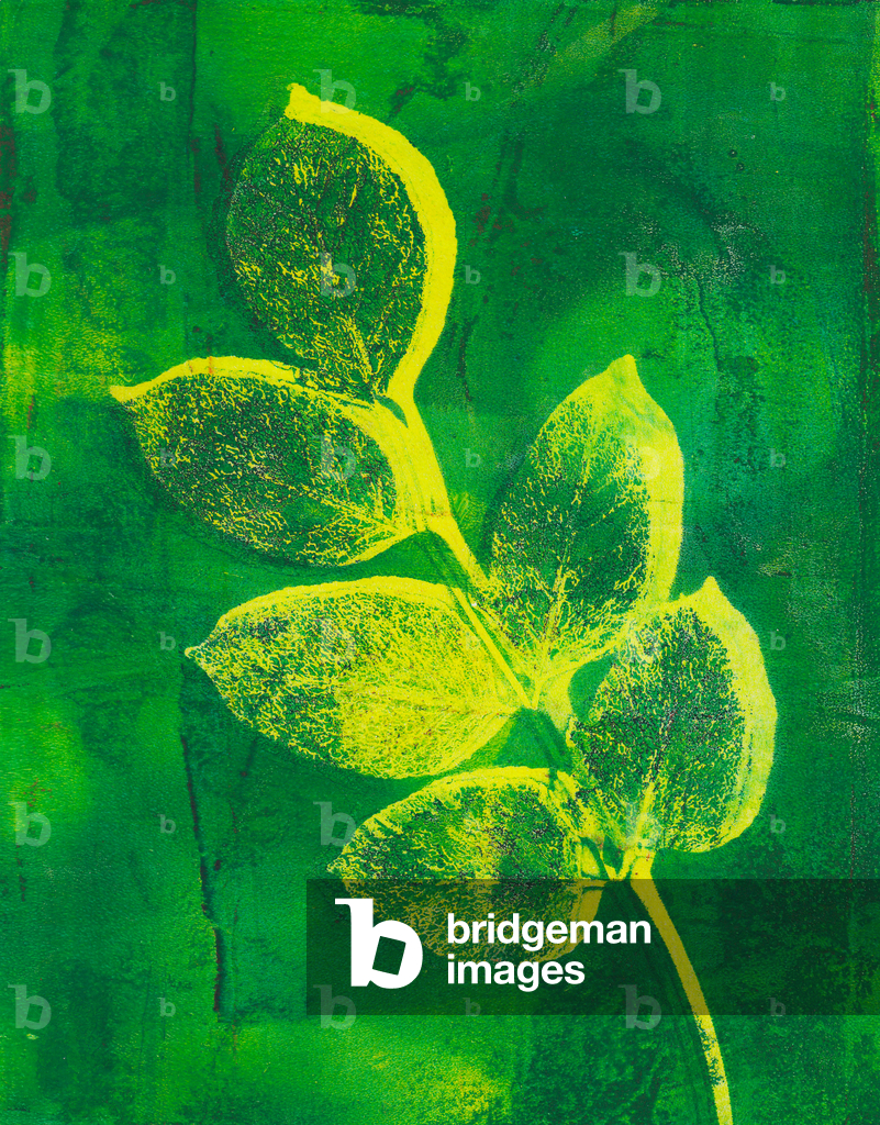 Foglie, 2024 (monotype)