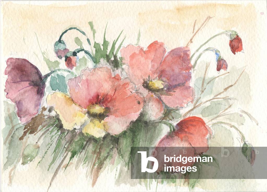 Papaveri, 1990-2020 (acquerello)