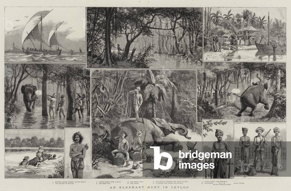 Une chasse aux éléphants à Ceylan (gravure) par English School