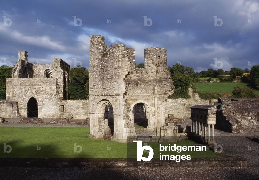 Abbazia di Mellifont, Louth, Irlanda; Abbazia del XII secolo (foto)