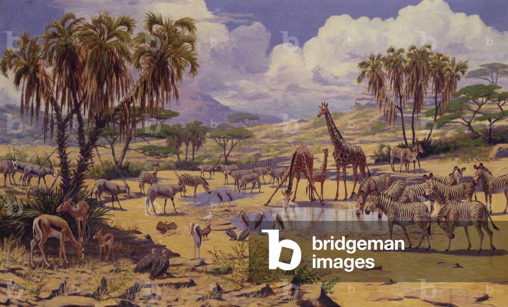 Waterhole, Kenya settentrionale, 1929 (olio su tela)