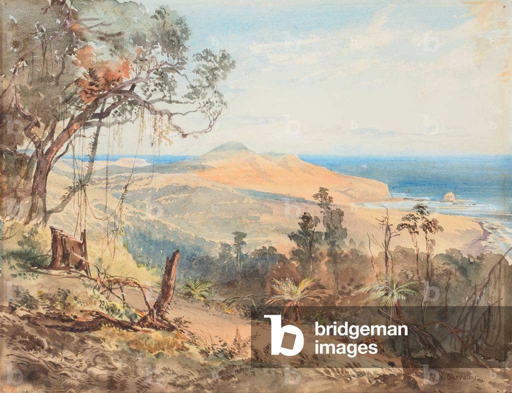 Sandfly Bay and Gull Rock near Dunedin, 1865 (w/c on paper)