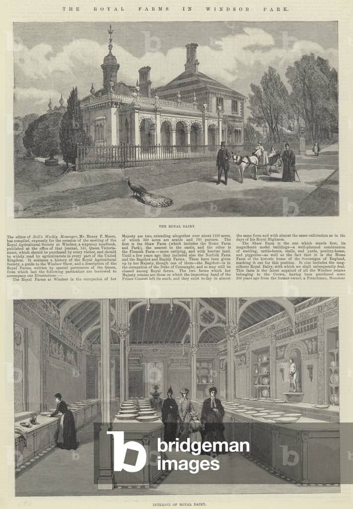 The Royal Farms in Windsor Park (Gravur)