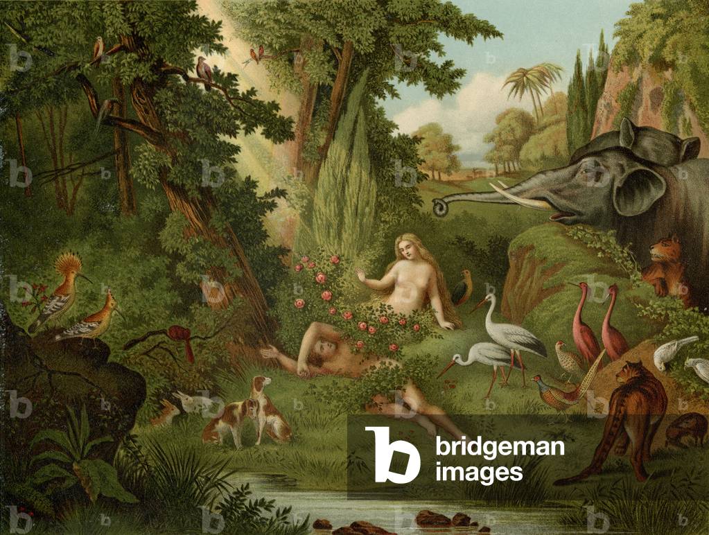 The Creation of Eve (colour litho) by Johann Elias Ridinger