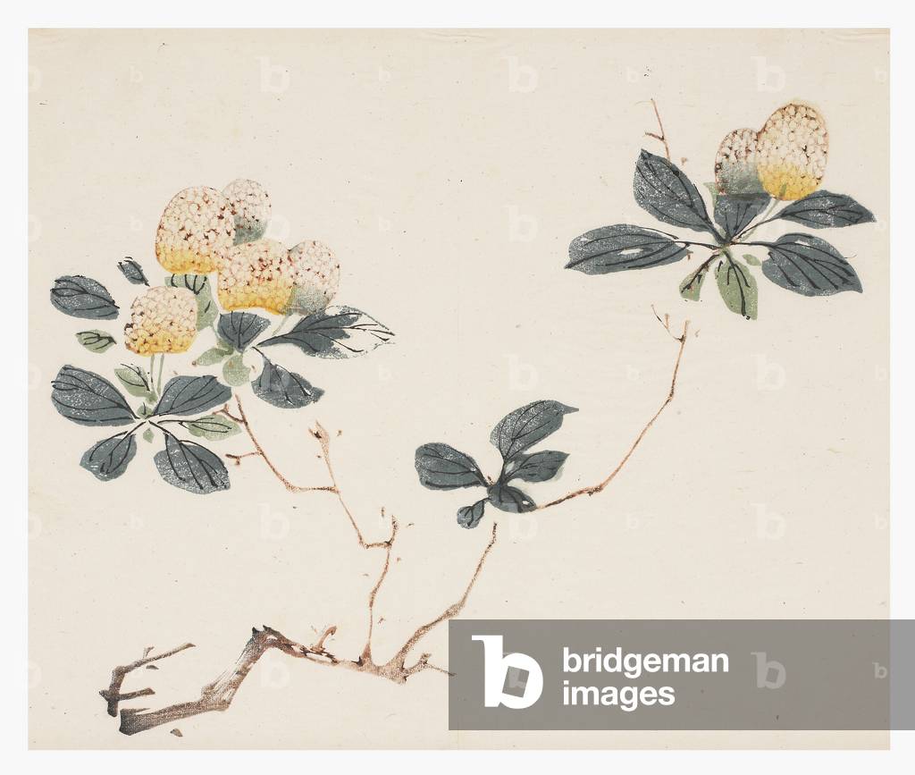 Ten Bamboo Series by Chinese Artist