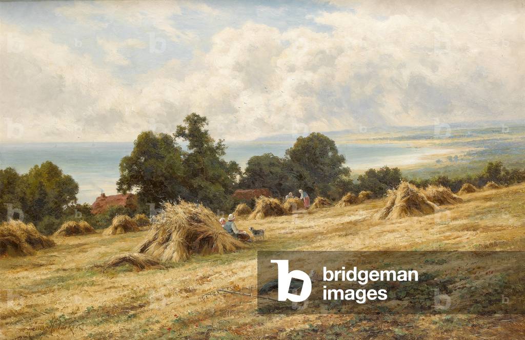 Erntezeit durch die Sussex Küste in der Nähe von Worthing (Öl auf Leinwand)