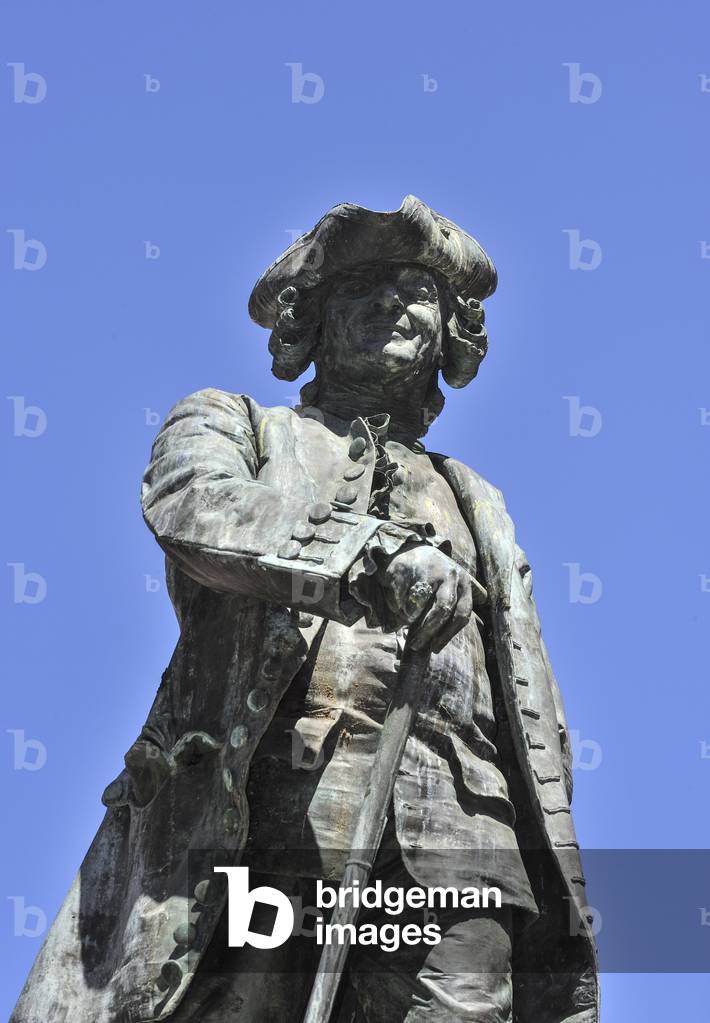 Statua Goldoni, Rialto