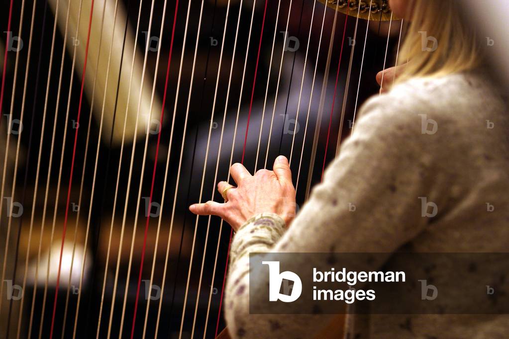 Image of Photography depicting Harp - close up by Chris Stock