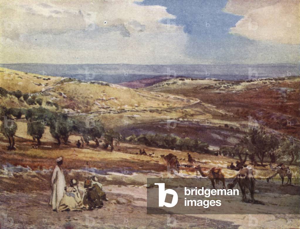 sulla strada da Gerusalemme a Betania (colore lito)