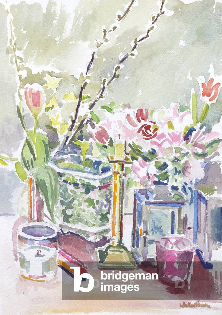 Pussy Willow (Jahr 9 Willow) (Aquarell)