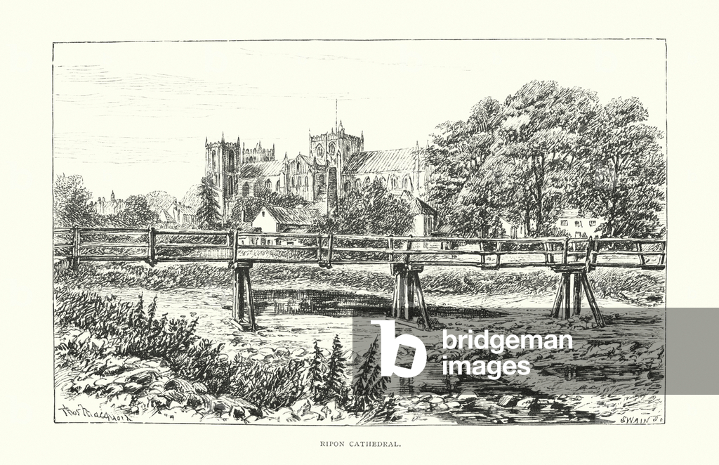 Immagine di Incisione "Yorkshire: Cattedrale di Ripon (incisione)" 1901 di Thomas Robert Macquoid