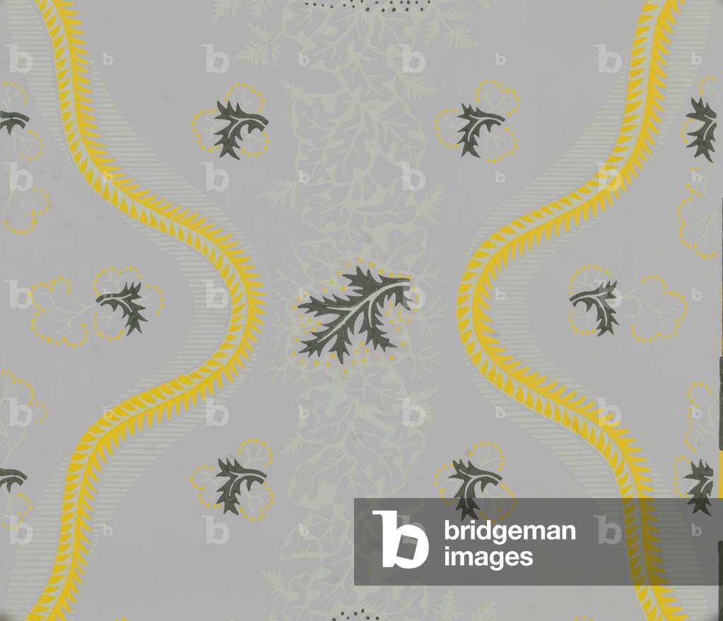 Royal Oak Design (colore lito)