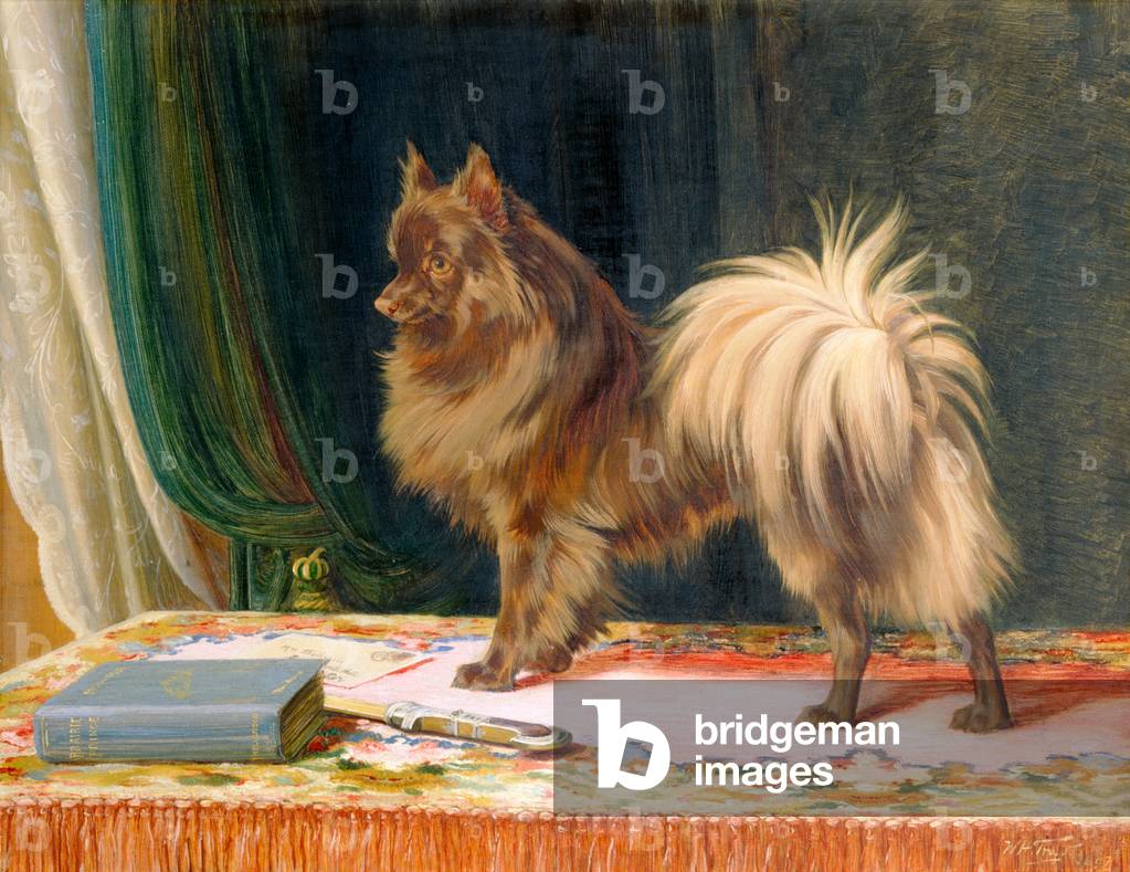 Image of Painting depicting Portrait of Prairie Prince, 1897 by William Henry Hamilton Trood