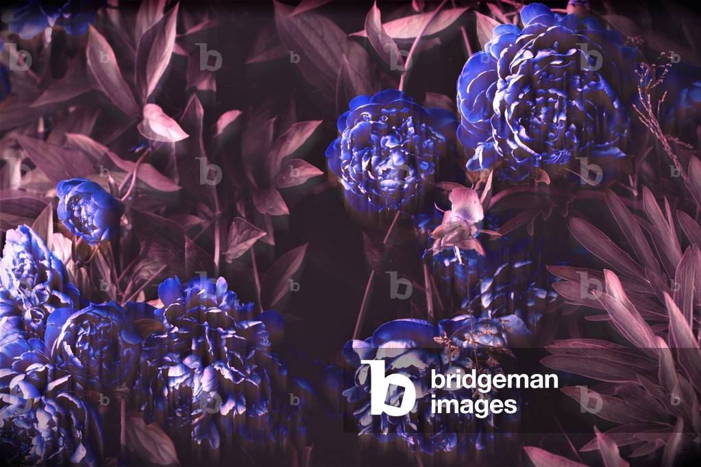 Blaue Noten, 2019 (Fotografie)