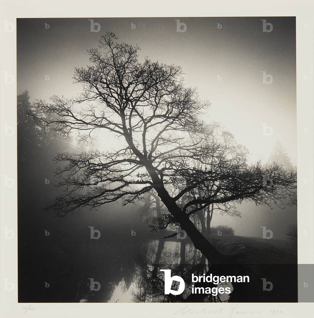 Immagine di Fotografia "Albero pendente" di Michael Kenna