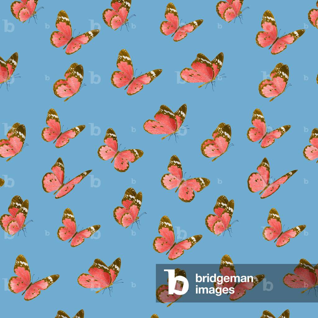 Painted lady butterfly pattern, 2021 (graphite pencil & digital)