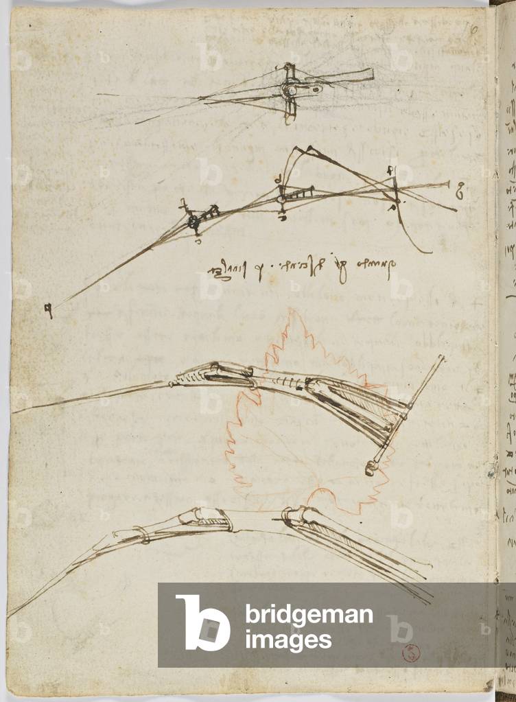 Birds Flight Code by Leonardo da Vinci, b/w