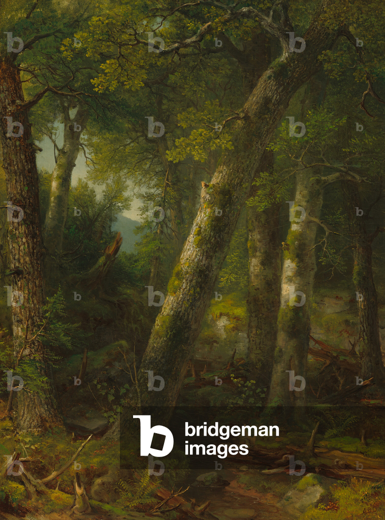 Wald im Morgenlicht, ca. 1855 (Öl auf Leinwand)