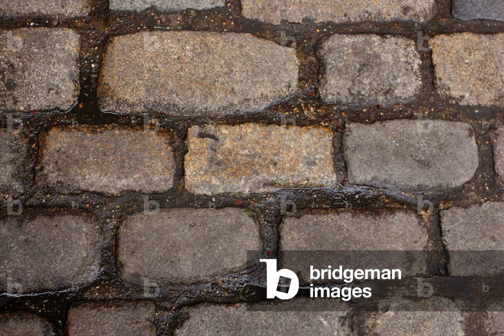 Bild von Fotografie "Brick Road"