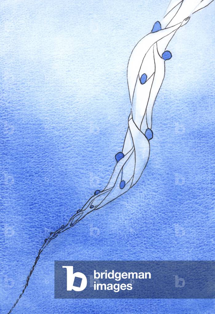 Image de Dessin représentant Nos intercessions pour les âmes saintes au Purgatoire 2002 par Elizabeth Wang