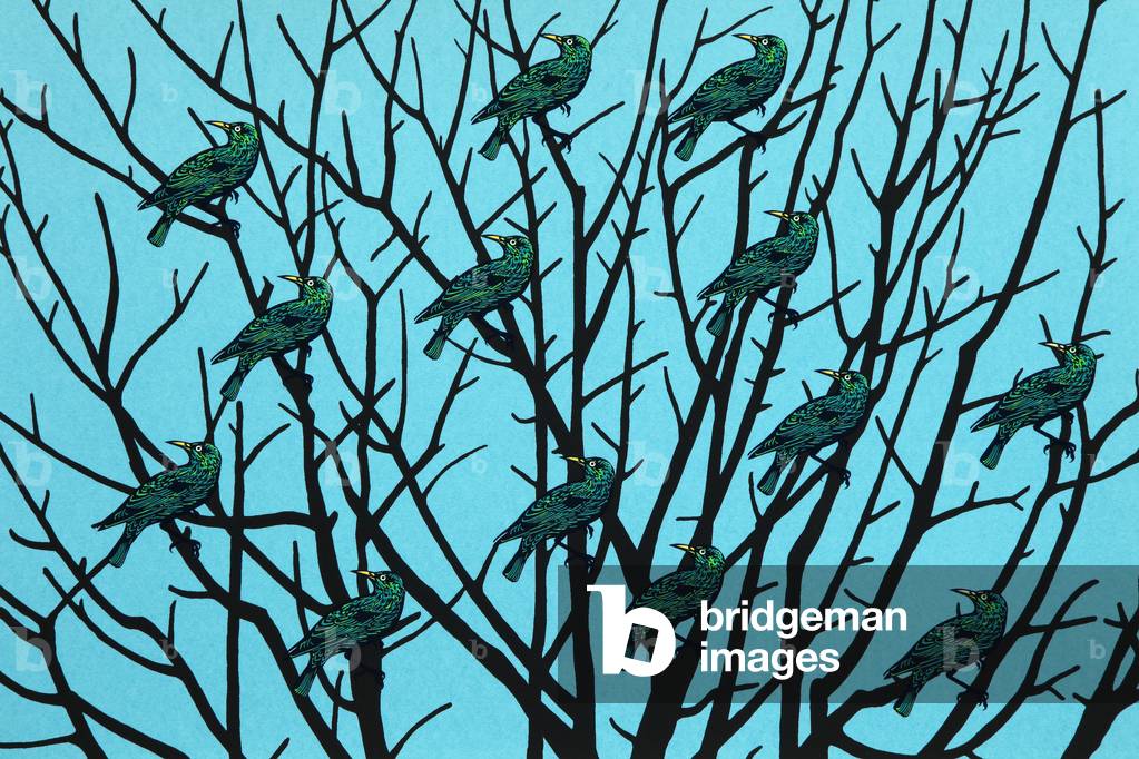 Startled-Storm, 2012 (serigrafia)