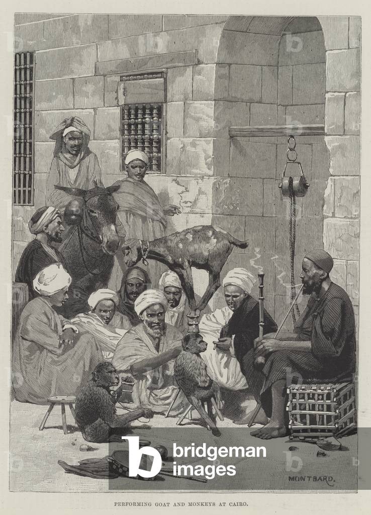 "Darstellende Ziege und Affen in Kairo (Gravur)" 1885 von Charles Auguste Loye