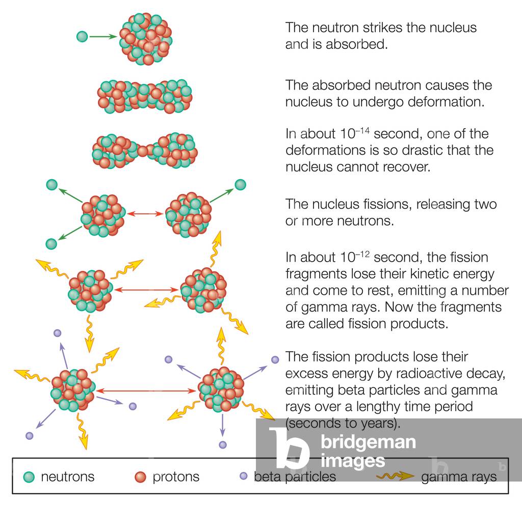 Fission d'un noyau d'uranium